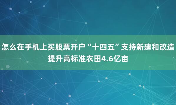 怎么在手机上买股票开户“十四五”支持新建和改造提升高标准农田4.6亿亩